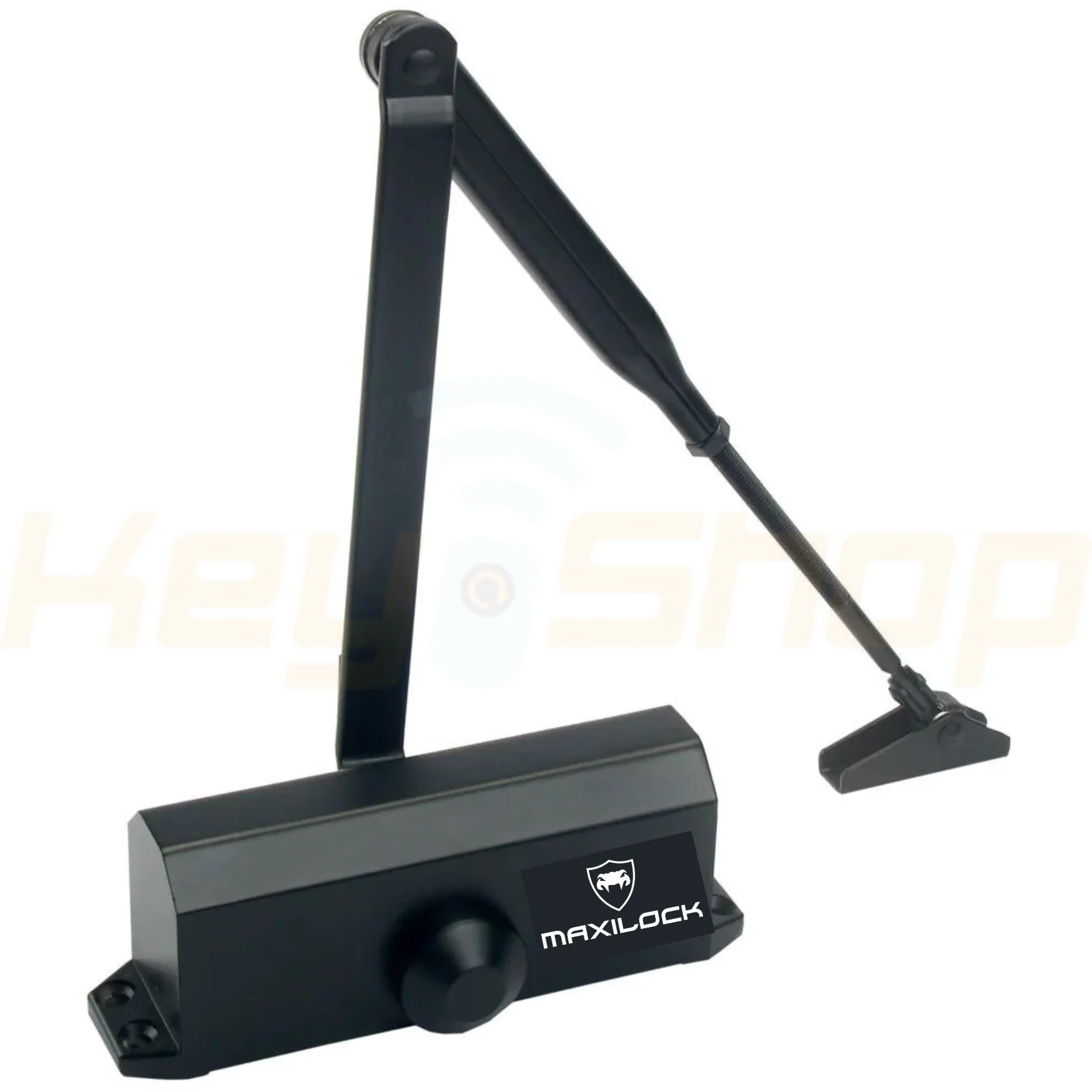 תמונה ממוזערת 3