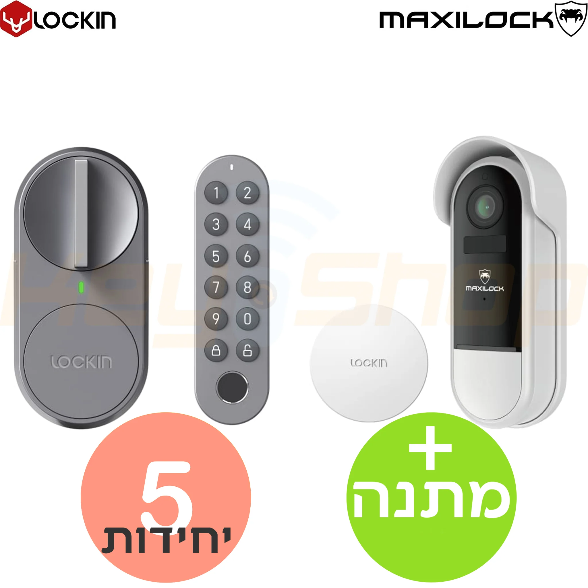 תמונה ממוזערת 4