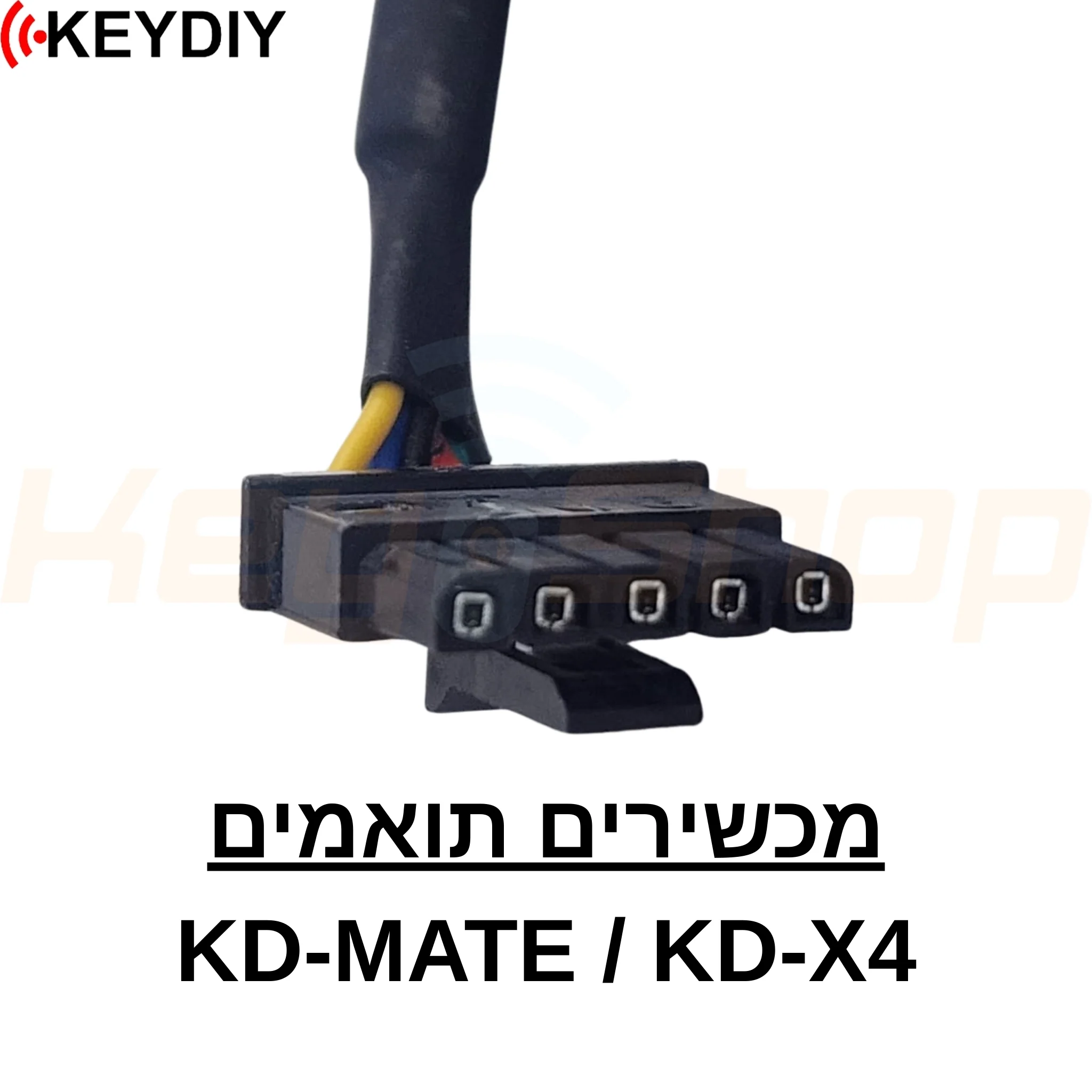 תמונה ממוזערת 2